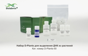 НАБОР MINI ДЛЯ ВЫДЕЛЕНИЯ ПЛАЗМИДНОЙ ДНК ИЗ БАКТЕРИАЛЬНЫХ КЛЕТОК, 50 РЕАКЦИЙ