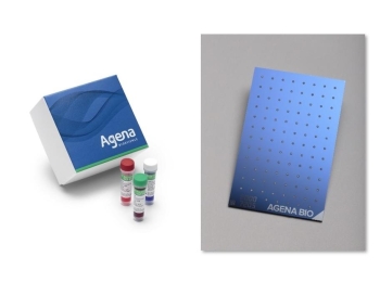 НАБОР MASSCLEAVE, PCR REAGENT AND SPECTROCHIP, АРТ. 13165F, AGENA BIOSCIENCE