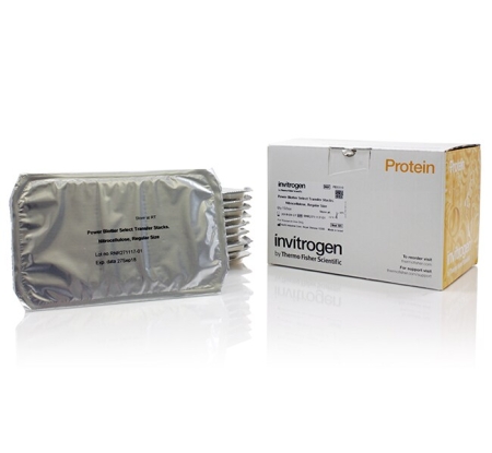 МЕМБРАНЫ POWER BLOTTER, НИТРОЦЕЛЛЮЛОЗА, 0,2 МКМ, 130X83 ММ, 10 ШТ/УПАК, АРТ. PB3310, THERMO FISHER SCIENTIFIC