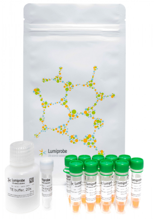 НАБОР PRECISEGREEN ДЛЯ ОПРЕДЕЛЕНИЯ КОЛИЧЕСТВА ДЦДНК, 200 ASSAYS, B1102