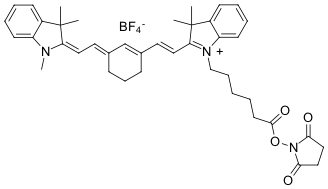 CYANINE7 NHS-ЭФИР, 1 MG, 15020