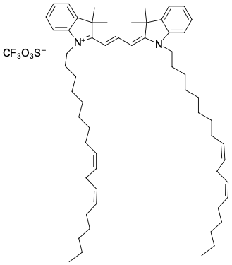 RAPID DII, ЛИПОФИЛЬНЫЙ ТРЕЙСЕР, 5 MG, 3156-5MG