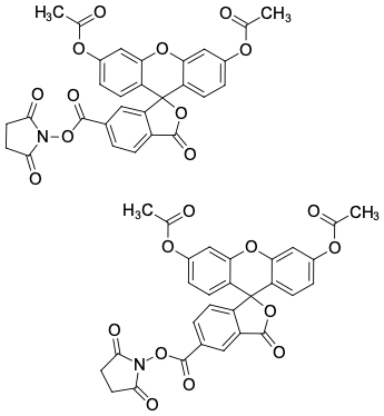 (5,6)-FAM ДИАЦЕТАТ NHS-ЭФИР, 25 MG, 2934-25MG