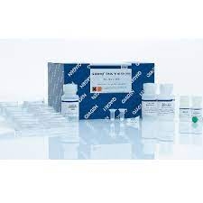 НАБОР ЛАБОРАТОРНЫХ РЕАГЕНТОВ ДЛЯ ВЫДЕЛЕНИЯ ОБЩЕЙ ДНК «QIAAMP DNA MINI KIT (250)», АРТ. 51306, QIAGEN
