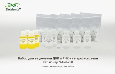 НАБОР N-GEL ДЛЯ ВЫДЕЛЕНИЯ ДНК И РНК ИЗ АГАРОЗНОГО ГЕЛЯ, 250 РЕАКЦИЙ