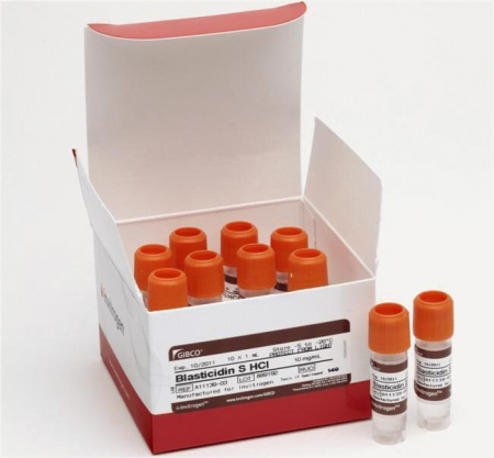 БЛАСТИЦИДИН S HCL, 10 МГ/МЛ, 10 Х 1 МЛ *, АРТ. A1113903, THERMO FISHER SCIENTIFIC