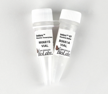 ОБРАТНАЯ ТРАНСКРИПТАЗА INDURO®, 200 000 Е.А./МЛ, 10 000 Е.А., АРТ. M0681 L, NEW ENGLAND BIOLABS INC