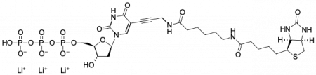 БИОТИН-11-DUTP, 250 NMOL, 1553-250NMOL
