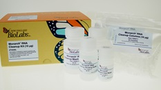 НАБОР ДЛЯ МАГНИТНОЙ ЭКСТРАКЦИИ МРНК (25 РЕАКЦИЙ), АРТ. S1550 S, NEW ENGLAND BIOLABS