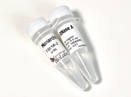 MONARCH® РНКАЗА A (20 МГ/МЛ, 1 МЛ), АРТ. T3018 L, NEW ENGLAND BIOLABS
