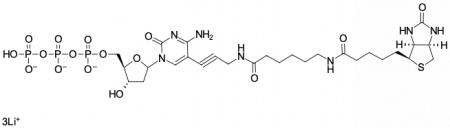БИОТИН-11-DCTP, 250 NMOL, 2715-250NMOL