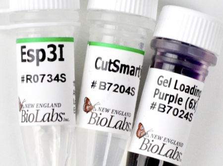 ЭНДОНУКЛЕАЗА РЕСТРИКЦИИ ESP3I, РЕКОМБИНАНТНАЯ (1500 Е.А.), АРТ. R0734 L, NEW ENGLAND BIOLABS