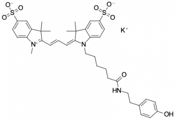 SULFO-CYANINE3 ТИРАМИД, 1 MG, 3718-1MG
