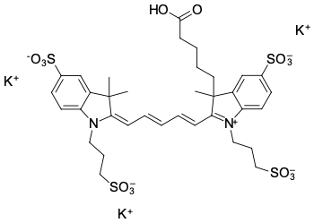 AF 647 КАРБОНОВАЯ КИСЛОТА, 1 MG, 16890