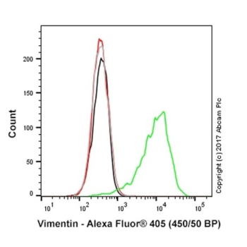 АНТИТЕЛА МОНОКЛОНАЛЬНЫЕ КРОЛИЧЬИ RECOMBINANT ALEXA FLUOR® 405 ANTI-VIMENTI, 100 МКЛ, ABCAM, AB210152