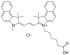 CYANINE3.5 КАРБОНОВАЯ КИСЛОТА, 5 MG, 22090