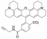 ROX АЛКИН, 6-ИЗОМЕР, 50 MG, E22B0