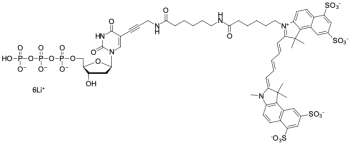 SULFO-CYANINE5.5 DUTP, 250 NMOL, 2071-250NMOL