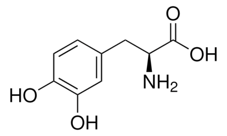 3,4-ДИГИДРОКСИ-L-ФЕНИЛАЛАНИН (5Г)/3,4-DIHYDROXY-L-PHENYLALANINE