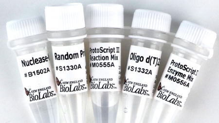 НАБОР PROTOSCRIPT® II ДЛЯ СИНТЕЗА ПЕРВОЙ ЦЕПИ КДНК, АРТ. E6560 L, NEW ENGLAND BIOLABS
