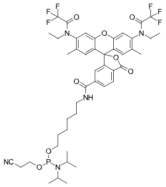 R6G ФОСФОРАМИДИТ, 6-ИЗОМЕР, 100 MG, C5260
