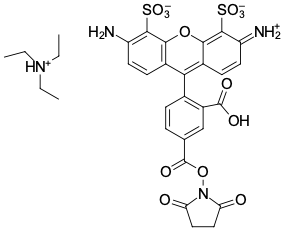 AF 488 NHS-ЭФИР, 100 MG, 61820