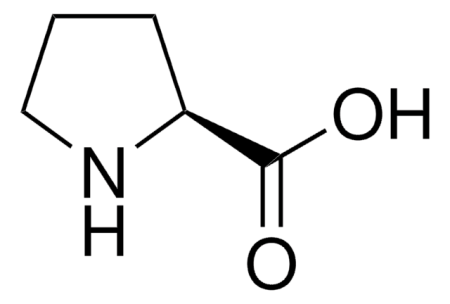 L-ПРОЛИН (25Г) /L-PROLINE
