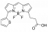 BDP 558/568 КАРБОНОВАЯ КИСЛОТА, 100 MG, 67490